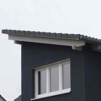 Dachgauben & Dachfenster